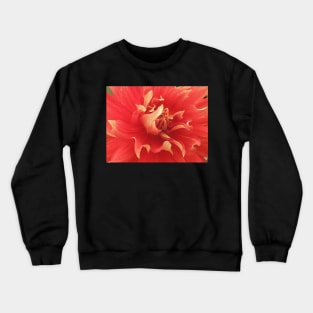 Dahlia Frills Crewneck Sweatshirt